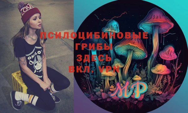 ешки Алексеевка