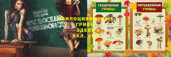 ешки Алексеевка